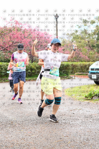 2026左岸竹東櫻花馬拉松Zhudong Sakura Marathon