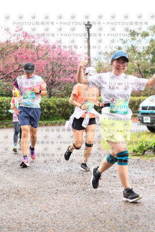 2026左岸竹東櫻花馬拉松Zhudong Sakura Marathon