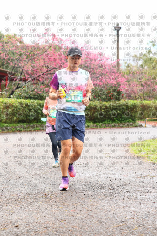 2026左岸竹東櫻花馬拉松Zhudong Sakura Marathon