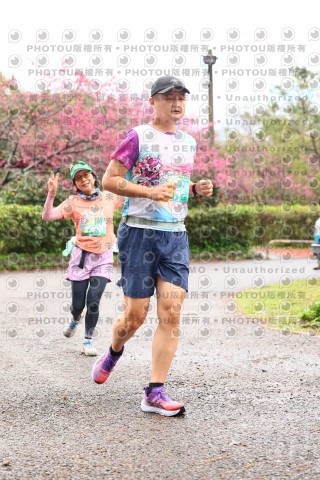 2026左岸竹東櫻花馬拉松Zhudong Sakura Marathon