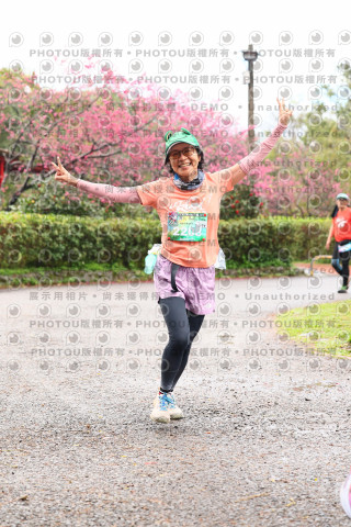 2026左岸竹東櫻花馬拉松Zhudong Sakura Marathon