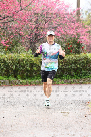 2026左岸竹東櫻花馬拉松Zhudong Sakura Marathon