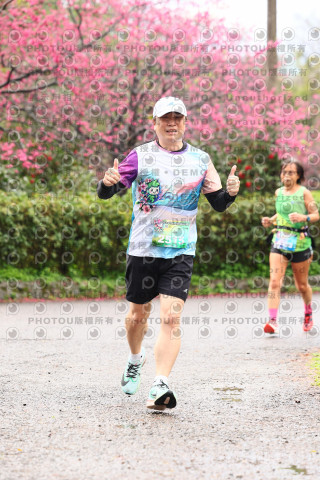 2026左岸竹東櫻花馬拉松Zhudong Sakura Marathon
