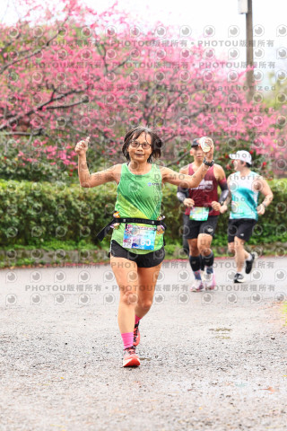 2026左岸竹東櫻花馬拉松Zhudong Sakura Marathon