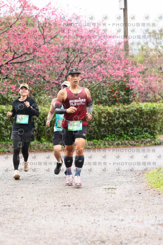 2026左岸竹東櫻花馬拉松Zhudong Sakura Marathon