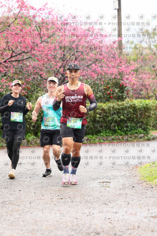2026左岸竹東櫻花馬拉松Zhudong Sakura Marathon