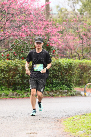 2026左岸竹東櫻花馬拉松Zhudong Sakura Marathon
