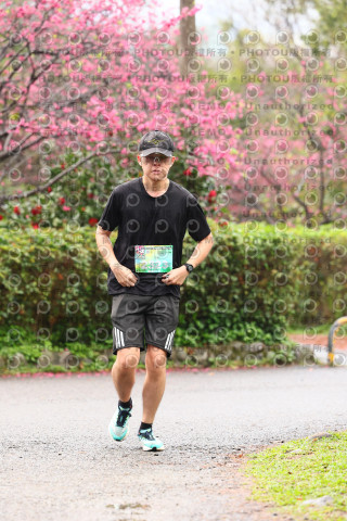 2026左岸竹東櫻花馬拉松Zhudong Sakura Marathon