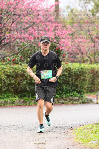 2026左岸竹東櫻花馬拉松Zhudong Sakura Marathon