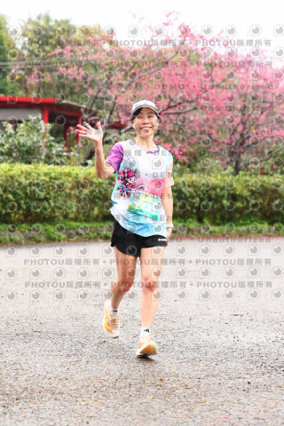 2026左岸竹東櫻花馬拉松Zhudong Sakura Marathon