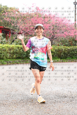 2026左岸竹東櫻花馬拉松Zhudong Sakura Marathon