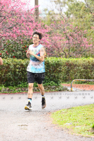 2026左岸竹東櫻花馬拉松Zhudong Sakura Marathon