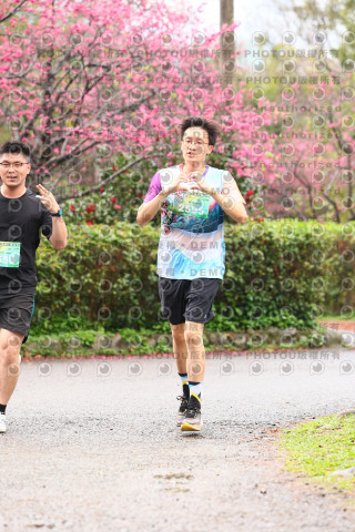 2026左岸竹東櫻花馬拉松Zhudong Sakura Marathon