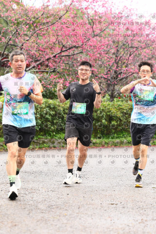 2026左岸竹東櫻花馬拉松Zhudong Sakura Marathon