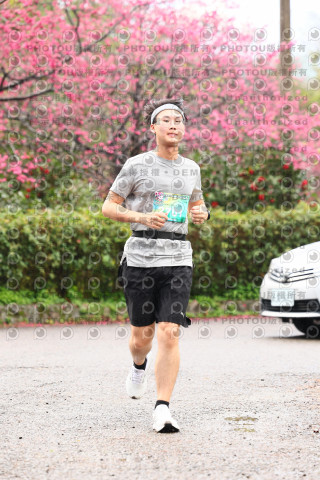 2026左岸竹東櫻花馬拉松Zhudong Sakura Marathon