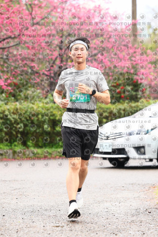 2026左岸竹東櫻花馬拉松Zhudong Sakura Marathon