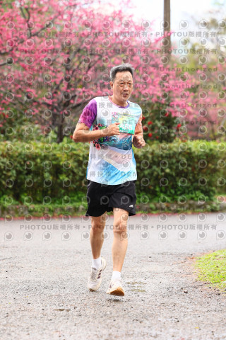 2026左岸竹東櫻花馬拉松Zhudong Sakura Marathon