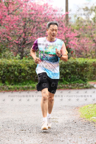 2026左岸竹東櫻花馬拉松Zhudong Sakura Marathon