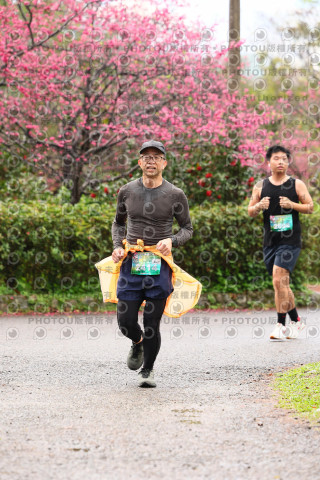 2026左岸竹東櫻花馬拉松Zhudong Sakura Marathon