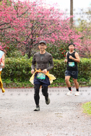 2026左岸竹東櫻花馬拉松Zhudong Sakura Marathon