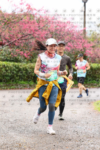 2026左岸竹東櫻花馬拉松Zhudong Sakura Marathon