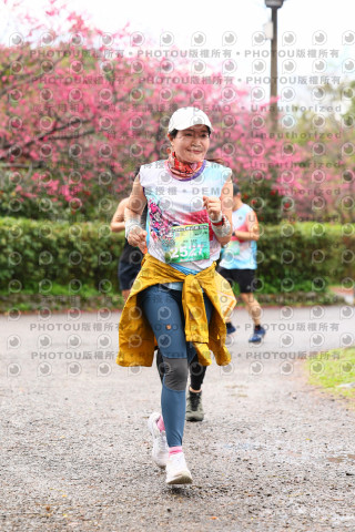 2026左岸竹東櫻花馬拉松Zhudong Sakura Marathon