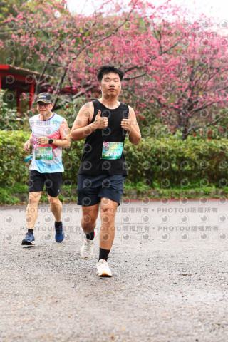 2026左岸竹東櫻花馬拉松Zhudong Sakura Marathon