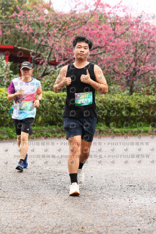 2026左岸竹東櫻花馬拉松Zhudong Sakura Marathon
