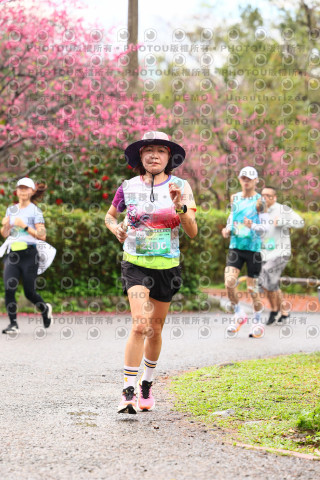 2026左岸竹東櫻花馬拉松Zhudong Sakura Marathon