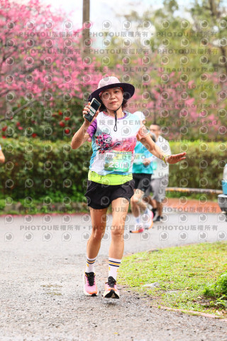 2026左岸竹東櫻花馬拉松Zhudong Sakura Marathon