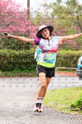 2026左岸竹東櫻花馬拉松Zhudong Sakura Marathon