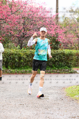 2026左岸竹東櫻花馬拉松Zhudong Sakura Marathon