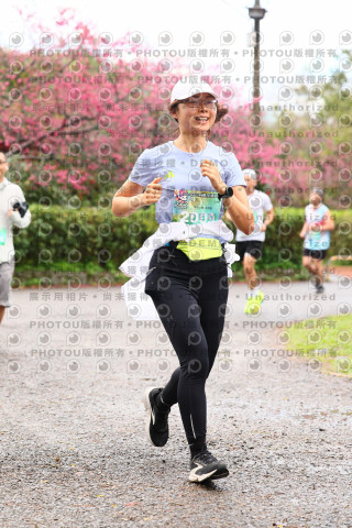 2026左岸竹東櫻花馬拉松Zhudong Sakura Marathon