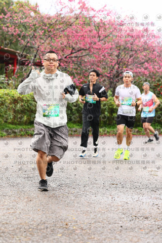 2026左岸竹東櫻花馬拉松Zhudong Sakura Marathon