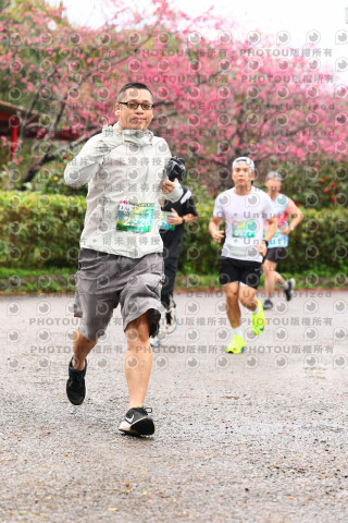 2026左岸竹東櫻花馬拉松Zhudong Sakura Marathon