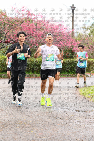 2026左岸竹東櫻花馬拉松Zhudong Sakura Marathon