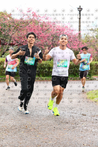 2026左岸竹東櫻花馬拉松Zhudong Sakura Marathon