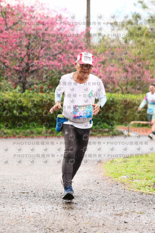 2026左岸竹東櫻花馬拉松Zhudong Sakura Marathon