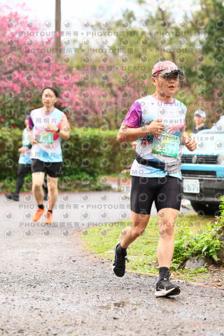 2026左岸竹東櫻花馬拉松Zhudong Sakura Marathon