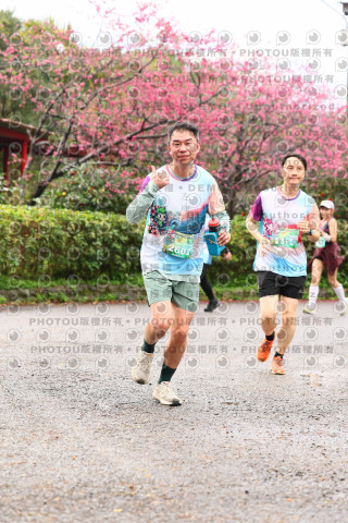 2026左岸竹東櫻花馬拉松Zhudong Sakura Marathon