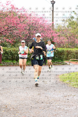 2026左岸竹東櫻花馬拉松Zhudong Sakura Marathon