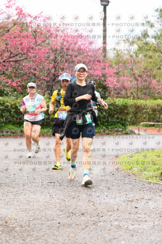 2026左岸竹東櫻花馬拉松Zhudong Sakura Marathon