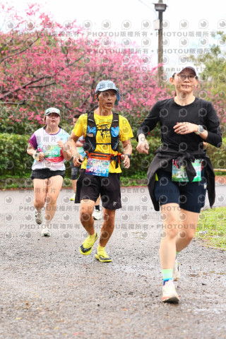 2026左岸竹東櫻花馬拉松Zhudong Sakura Marathon