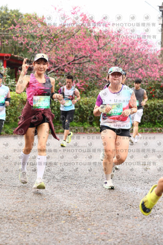 2026左岸竹東櫻花馬拉松Zhudong Sakura Marathon