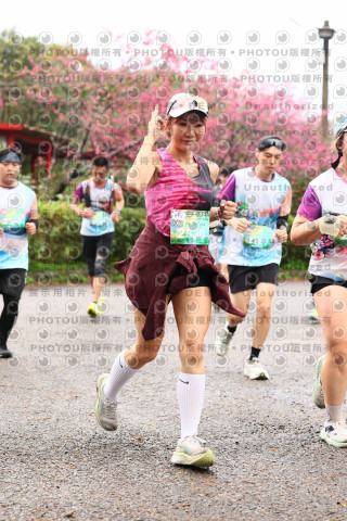 2026左岸竹東櫻花馬拉松Zhudong Sakura Marathon
