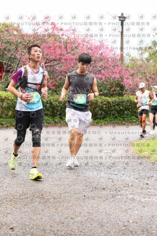 2026左岸竹東櫻花馬拉松Zhudong Sakura Marathon
