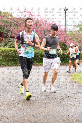 2026左岸竹東櫻花馬拉松Zhudong Sakura Marathon