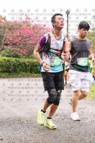 2026左岸竹東櫻花馬拉松Zhudong Sakura Marathon