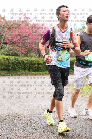 2026左岸竹東櫻花馬拉松Zhudong Sakura Marathon