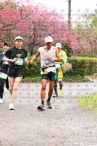 2026左岸竹東櫻花馬拉松Zhudong Sakura Marathon
